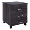 ΣΥΡΤΑΡΙΕΡΑ ΓΡΑΦΕΙΟΥ HAYDEN HM2282.01 ΣΕ ΑΝΘΡΑΚΙ ΧΡΩΜΑ 39.5x40x46.5Υεκ