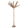 ΔΙΑΚΟΣΜΗΤΙΚΟ ΔΕΝΤΡΟ TROPIC HM4322 τ.ΦΟΙΝΙΚΑ ΑΠΟ MENDONG GRASS 360Yεκ. ΔΙΑΚΟΣΜΗΤΙΚΟ ΔΕΝΤΡΟ TROPIC HM4322 τ.ΦΟΙΝΙΚΑ ΑΠΟ MENDONG GRASS 360Yεκ.