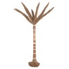 ΔΙΑΚΟΣΜΗΤΙΚΟ ΔΕΝΤΡΟ TROPIC HM4324 τ.ΦΟΙΝΙΚΑ ΑΠΟ MENDONG GRASS 280Yεκ. ΔΙΑΚΟΣΜΗΤΙΚΟ ΔΕΝΤΡΟ TROPIC HM4324 τ.ΦΟΙΝΙΚΑ ΑΠΟ MENDONG GRASS 280Yεκ.