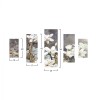 ΠΕΝΤΑΠΤΥΧΟΣ ΠΙΝΑΚΑΣ MDF MAGNOLIA KOBUS HM7207.01 82X56x0,3 εκ. ΠΕΝΤΑΠΤΥΧΟΣ ΠΙΝΑΚΑΣ MDF MAGNOLIA KOBUS HM7207.01 82X56x0,3 εκ.