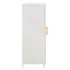 ΜΕΤΑΛΛΙΚΟ ΝΤΟΥΛΑΠΙ ΒΙΤΡΙΝΑ CARIL HM9571.02 ΛΕΥΚΟ 80x37-40x102Yεκ. ΜΕΤΑΛΛΙΚΟ ΝΤΟΥΛΑΠΙ ΒΙΤΡΙΝΑ CARIL HM9571.02 ΛΕΥΚΟ 80x37-40x102Yεκ.