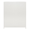 ΜΕΤΑΛΛΙΚΟ ΝΤΟΥΛΑΠΙ ΒΙΤΡΙΝΑ CARIL HM9571.02 ΛΕΥΚΟ 80x37-40x102Yεκ. ΜΕΤΑΛΛΙΚΟ ΝΤΟΥΛΑΠΙ ΒΙΤΡΙΝΑ CARIL HM9571.02 ΛΕΥΚΟ 80x37-40x102Yεκ.