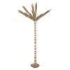 ΔΙΑΚΟΣΜΗΤΙΚΟ ΔΕΝΤΡΟ TROPIC HM4322 τ.ΦΟΙΝΙΚΑ ΑΠΟ MENDONG GRASS 360Yεκ. ΔΙΑΚΟΣΜΗΤΙΚΟ ΔΕΝΤΡΟ TROPIC HM4322 τ.ΦΟΙΝΙΚΑ ΑΠΟ MENDONG GRASS 360Yεκ.