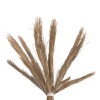 ΔΙΑΚΟΣΜΗΤΙΚΟ ΔΕΝΤΡΟ TROPIC HM4322 τ.ΦΟΙΝΙΚΑ ΑΠΟ MENDONG GRASS 360Yεκ. ΔΙΑΚΟΣΜΗΤΙΚΟ ΔΕΝΤΡΟ TROPIC HM4322 τ.ΦΟΙΝΙΚΑ ΑΠΟ MENDONG GRASS 360Yεκ.