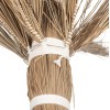 ΔΙΑΚΟΣΜΗΤΙΚΟ ΔΕΝΤΡΟ TROPIC HM4322 τ.ΦΟΙΝΙΚΑ ΑΠΟ MENDONG GRASS 360Yεκ. ΔΙΑΚΟΣΜΗΤΙΚΟ ΔΕΝΤΡΟ TROPIC HM4322 τ.ΦΟΙΝΙΚΑ ΑΠΟ MENDONG GRASS 360Yεκ.