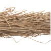 ΔΙΑΚΟΣΜΗΤΙΚΟ ΔΕΝΤΡΟ TROPIC HM4322 τ.ΦΟΙΝΙΚΑ ΑΠΟ MENDONG GRASS 360Yεκ. ΔΙΑΚΟΣΜΗΤΙΚΟ ΔΕΝΤΡΟ TROPIC HM4322 τ.ΦΟΙΝΙΚΑ ΑΠΟ MENDONG GRASS 360Yεκ.