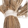 ΔΙΑΚΟΣΜΗΤΙΚΟ ΔΕΝΤΡΟ TROPIC HM4323 τ.ΦΟΙΝΙΚΑ ΑΠΟ MENDONG GRASS 310Yεκ. ΔΙΑΚΟΣΜΗΤΙΚΟ ΔΕΝΤΡΟ TROPIC HM4323 τ.ΦΟΙΝΙΚΑ ΑΠΟ MENDONG GRASS 310Yεκ.