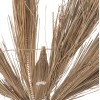 ΔΙΑΚΟΣΜΗΤΙΚΟ ΔΕΝΤΡΟ TROPIC HM4323 τ.ΦΟΙΝΙΚΑ ΑΠΟ MENDONG GRASS 310Yεκ. ΔΙΑΚΟΣΜΗΤΙΚΟ ΔΕΝΤΡΟ TROPIC HM4323 τ.ΦΟΙΝΙΚΑ ΑΠΟ MENDONG GRASS 310Yεκ.