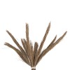 ΔΙΑΚΟΣΜΗΤΙΚΟ ΔΕΝΤΡΟ TROPIC HM4324 τ.ΦΟΙΝΙΚΑ ΑΠΟ MENDONG GRASS 280Yεκ. ΔΙΑΚΟΣΜΗΤΙΚΟ ΔΕΝΤΡΟ TROPIC HM4324 τ.ΦΟΙΝΙΚΑ ΑΠΟ MENDONG GRASS 280Yεκ.