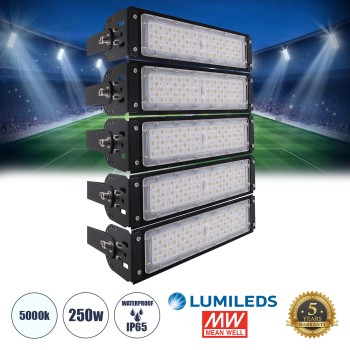 GLOBOSTAR® GOLIATH 90100-5 Προβολέας Γηπέδου LED 250W 40000lm SDCM<5 75°*135° Fish Eye Lens AC 100-277V Αδιάβροχο IP65 IK08 Ψυχρό Λευκό 5000K - LUMILEDs SMD Chip & MEANWELL Driver - Μαύρο Χυτό Αλουμίνιο - Μ32 x Π12 x Υ45cm - 5 Χρόνια Εγγύηση