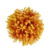GloboStar® 78513 Artificial - Συνθετικό Τεχνητό Διακοσμητικό Φυτό Θάμνος Πυξάρι Πορτοκαλί - Κίτρινο Φ26cm GloboStar® 78513 Artificial - Συνθετικό Τεχνητό Διακοσμητικό Φυτό Θάμνος Πυξάρι Πορτοκαλί - Κίτρινο Φ26cm