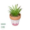 GloboStar® Artificial Garden AIR PLANT NEOPHYTUM POTTED PLANT 21043 Διακοσμητικό Φυτό Νεόφυτο Φ12 x Υ15cm GloboStar® Artificial Garden AIR PLANT NEOPHYTUM POTTED PLANT 21043 Διακοσμητικό Φυτό Νεόφυτο Φ12 x Υ15cm
