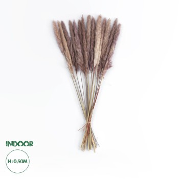 GloboStar® Artificial Garden REAL DRIED BROWN PAMPAS GRASS BUNCH 21215 Αποξηραμένο Διακοσμητικό Μπουκέτο Pampas Kάφε Y50cm - Σετ 15 τμχ