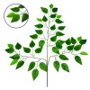 GloboStar® 09052 Τεχνητό Φυτό Διακοσμητικό Κλαδί Διαστάσεων M21cm x Υ27cm με 3 X Πράσινα Κλαδιά και Φύλλωμα Μπέντζαμιν GloboStar® 09052 Τεχνητό Φυτό Διακοσμητικό Κλαδί Διαστάσεων M21cm x Υ27cm με 3 X Πράσινα Κλαδιά και Φύλλωμα Μπέντζαμιν