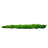 GloboStar® 78419 Artificial - Συνθετικό Τεχνητό Διακοσμητικό Πάνελ Φυλλωσιάς - Κάθετος Κήπος Καυκάσιο Πυξάρι - Φτέρη - Λυσιμαχία Πράσινο Μ60 x Υ40 x Π9cm GloboStar® 78419 Artificial - Συνθετικό Τεχνητό Διακοσμητικό Πάνελ Φυλλωσιάς - Κάθετος Κήπος Καυκάσιο Πυξάρι - Φτέρη - Λυσιμαχία Πράσινο Μ60 x Υ40 x Π9cm