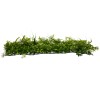 GloboStar® 78401 Artificial - Συνθετικό Τεχνητό Διακοσμητικό Πάνελ Φυλλωσιάς - Κάθετος Κήπος Γάλιο - Φτέρη - Γκι - Γρασίδι Πράσινο Μ60 x Υ40 x Π10cm GloboStar® 78401 Artificial - Συνθετικό Τεχνητό Διακοσμητικό Πάνελ Φυλλωσιάς - Κάθετος Κήπος Γάλιο - Φτέρη - Γκι - Γρασίδι Πράσινο Μ60 x Υ40 x Π10cm