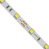 GloboStar® 70010 Ταινία LED SMD 5050 5m 7.2W/m 30LED/m 792lm/m 120° DC 12V IP20 Ψυχρό Λευκό 6000K GloboStar® 70010 Ταινία LED SMD 5050 5m 7.2W/m 30LED/m 792lm/m 120° DC 12V IP20 Ψυχρό Λευκό 6000K