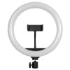 GloboStar® 75801 Professional Digital Ring Light Φ26cm LED SMD 30W 3000lm 180° DC 5V με Καλώδιο Τροφοδοσίας USB - Ενσωματωμένο Χειριστήριο Εναλλαγής Χρωμάτων & 1 Βάση Τηλεφώνου - Πολύχρωμο RGBW+WW Dimmable GloboStar® 75801 Professional Digital Ring Light Φ26cm LED SMD 30W 3000lm 180° DC 5V με Καλώδιο Τροφοδοσίας USB - Ενσωματωμένο Χειριστήριο Εναλλαγής Χρωμάτων & 1 Βάση Τηλεφώνου - Πολύχρωμο RGBW+WW Dimmable