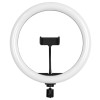 GloboStar® 75802 Professional Digital Ring Light Φ30cm LED SMD 40W 4000lm 180° DC 5V με Καλώδιο Τροφοδοσίας USB - Ενσωματωμένο Χειριστήριο Εναλλαγής Χρωμάτων & 1 Βάση Τηλεφώνου - Πολύχρωμο RGBW+WW Dimmable GloboStar® 75802 Professional Digital Ring Light Φ30cm LED SMD 40W 4000lm 180° DC 5V με Καλώδιο Τροφοδοσίας USB - Ενσωματωμένο Χειριστήριο Εναλλαγής Χρωμάτων & 1 Βάση Τηλεφώνου - Πολύχρωμο RGBW+WW Dimmable
