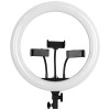 GloboStar® 75803 Professional Digital Ring Light Φ36cm LED SMD 50W 5000lm 180° DC 5V με Καλώδιο Τροφοδοσίας USB - Ενσωματωμένο και Ασύρματο Χειριστήριο RF 2.4Ghz Εναλλαγής Χρωμάτων & 3 Βάσεις Τηλεφώνου - Πολύχρωμο RGBW+WW Dimmable GloboStar® 75803 Professional Digital Ring Light Φ36cm LED SMD 50W 5000lm 180° DC 5V με Καλώδιο Τροφοδοσίας USB - Ενσωματωμένο και Ασύρματο Χειριστήριο RF 2.4Ghz Εναλλαγής Χρωμάτων & 3 Βάσεις Τηλεφώνου - Πολύχρωμο RGBW+WW Dimmable