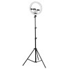 GloboStar® 75803 Professional Digital Ring Light Φ36cm LED SMD 50W 5000lm 180° DC 5V με Καλώδιο Τροφοδοσίας USB - Ενσωματωμένο και Ασύρματο Χειριστήριο RF 2.4Ghz Εναλλαγής Χρωμάτων & 3 Βάσεις Τηλεφώνου - Πολύχρωμο RGBW+WW Dimmable GloboStar® 75803 Professional Digital Ring Light Φ36cm LED SMD 50W 5000lm 180° DC 5V με Καλώδιο Τροφοδοσίας USB - Ενσωματωμένο και Ασύρματο Χειριστήριο RF 2.4Ghz Εναλλαγής Χρωμάτων & 3 Βάσεις Τηλεφώνου - Πολύχρωμο RGBW+WW Dimmable