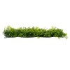 GloboStar® 78405 Artificial - Συνθετικό Τεχνητό Διακοσμητικό Πάνελ Φυλλωσιάς - Κάθετος Κήπος Νάνος Φτέρη - Νάνος Κισσός - Δανάη Πράσινο Μ60 x Υ40 x Π8cm GloboStar® 78405 Artificial - Συνθετικό Τεχνητό Διακοσμητικό Πάνελ Φυλλωσιάς - Κάθετος Κήπος Νάνος Φτέρη - Νάνος Κισσός - Δανάη Πράσινο Μ60 x Υ40 x Π8cm