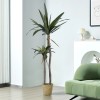 GloboStar® Artificial Garden AGAVE 20045 Τεχνητό Διακοσμητικό Φυτό Αγαύη Υ172cm GloboStar® Artificial Garden AGAVE 20045 Τεχνητό Διακοσμητικό Φυτό Αγαύη Υ172cm