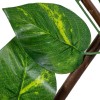 GloboStar® Artificial Garden GOLDEN POTHOS 78496 Πτυσσόμενη Πέργκολα Τεχνητής Φυλλωσιάς - Κάθετος Κήπος Σύνθεση Πόθος Μ110 x Π10 x Υ120cm (min) Μ310 x Π10 x Υ45cm (max) GloboStar® Artificial Garden GOLDEN POTHOS 78496 Πτυσσόμενη Πέργκολα Τεχνητής Φυλλωσιάς - Κάθετος Κήπος Σύνθεση Πόθος Μ110 x Π10 x Υ120cm (min) Μ310 x Π10 x Υ45cm (max)