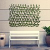 GloboStar® Artificial Garden GOLDEN POTHOS 78496 Πτυσσόμενη Πέργκολα Τεχνητής Φυλλωσιάς - Κάθετος Κήπος Σύνθεση Πόθος Μ110 x Π10 x Υ120cm (min) Μ310 x Π10 x Υ45cm (max) GloboStar® Artificial Garden GOLDEN POTHOS 78496 Πτυσσόμενη Πέργκολα Τεχνητής Φυλλωσιάς - Κάθετος Κήπος Σύνθεση Πόθος Μ110 x Π10 x Υ120cm (min) Μ310 x Π10 x Υ45cm (max)