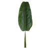 GloboStar® Artificial Garden BANANA TREE LEAF 20177 - Τεχνητό Διακοσμητικό Φύλο Μπανανιάς - Μπανανόδεντρου Π30 x Υ100cm GloboStar® Artificial Garden BANANA TREE LEAF 20177 - Τεχνητό Διακοσμητικό Φύλο Μπανανιάς - Μπανανόδεντρου Π30 x Υ100cm