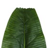 GloboStar® Artificial Garden BANANA TREE LEAF 20177 - Τεχνητό Διακοσμητικό Φύλο Μπανανιάς - Μπανανόδεντρου Π30 x Υ100cm GloboStar® Artificial Garden BANANA TREE LEAF 20177 - Τεχνητό Διακοσμητικό Φύλο Μπανανιάς - Μπανανόδεντρου Π30 x Υ100cm