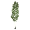 GloboStar® Artificial Garden ALSOPHILA FERN LEAF 20178 Τεχνητό Διακοσμητικό Φύλο Φτέρης Π60 x Υ180cm GloboStar® Artificial Garden ALSOPHILA FERN LEAF 20178 Τεχνητό Διακοσμητικό Φύλο Φτέρης Π60 x Υ180cm