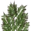 GloboStar® Artificial Garden ALSOPHILA FERN LEAF 20178 Τεχνητό Διακοσμητικό Φύλο Φτέρης Π60 x Υ180cm GloboStar® Artificial Garden ALSOPHILA FERN LEAF 20178 Τεχνητό Διακοσμητικό Φύλο Φτέρης Π60 x Υ180cm