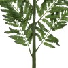 GloboStar® Artificial Garden ALSOPHILA FERN LEAF 20178 Τεχνητό Διακοσμητικό Φύλο Φτέρης Π60 x Υ180cm GloboStar® Artificial Garden ALSOPHILA FERN LEAF 20178 Τεχνητό Διακοσμητικό Φύλο Φτέρης Π60 x Υ180cm