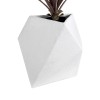 GloboStar® Artificial Garden ALBEROBELLO 20737 Επιδαπέδιο Πολυεστερικό Τσιμεντένιο Κασπώ Γλάστρα - Flower Pot Λευκό Μ50 x Π30 x Υ50cm GloboStar® Artificial Garden ALBEROBELLO 20737 Επιδαπέδιο Πολυεστερικό Τσιμεντένιο Κασπώ Γλάστρα - Flower Pot Λευκό Μ50 x Π30 x Υ50cm