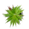 GloboStar® Artificial Garden AIR PLANT TILLANDSIA POTTED PLANT 21036 Διακοσμητικό Φυτό Τιλάντσια Φ12 x Υ15cm GloboStar® Artificial Garden AIR PLANT TILLANDSIA POTTED PLANT 21036 Διακοσμητικό Φυτό Τιλάντσια Φ12 x Υ15cm