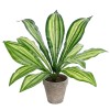 GloboStar® Artificial Garden DRACAENA POTTED PLANT 20907 Διακοσμητικό Φυτό Δράκενα Φ40 x Υ33cm GloboStar® Artificial Garden DRACAENA POTTED PLANT 20907 Διακοσμητικό Φυτό Δράκενα Φ40 x Υ33cm