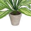 GloboStar® Artificial Garden DRACAENA POTTED PLANT 20907 Διακοσμητικό Φυτό Δράκενα Φ40 x Υ33cm GloboStar® Artificial Garden DRACAENA POTTED PLANT 20907 Διακοσμητικό Φυτό Δράκενα Φ40 x Υ33cm