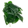 GloboStar® Artificial Garden MONSTERA PLANT 20945 - Διακοσμητικό Φυτό Μονστέρα Φ40 x Υ33cm GloboStar® Artificial Garden MONSTERA PLANT 20945 - Διακοσμητικό Φυτό Μονστέρα Φ40 x Υ33cm