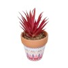 GloboStar® Artificial Garden AIR PLANT NEOPHYTUM POTTED PLANT 21042 Διακοσμητικό Φυτό Νεόφυτο Φ12 x Υ15cm GloboStar® Artificial Garden AIR PLANT NEOPHYTUM POTTED PLANT 21042 Διακοσμητικό Φυτό Νεόφυτο Φ12 x Υ15cm