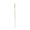 GloboStar® Artificial Garden REAL DRIED WHEAT GRASS 21488 Τεχνητό Διακοσμητικό Κλαδί Σιταριού Y30cm GloboStar® Artificial Garden REAL DRIED WHEAT GRASS 21488 Τεχνητό Διακοσμητικό Κλαδί Σιταριού Y30cm