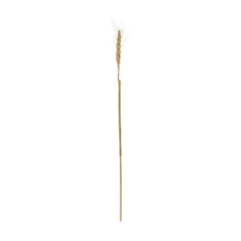 GloboStar® Artificial Garden REAL DRIED WHEAT GRASS 21488 Τεχνητό Διακοσμητικό Κλαδί Σιταριού Y30cm