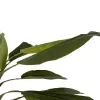 GloboStar® Artificial Garden BANANA TREE 21502 Τεχνητό Διακοσμητικό Δέντρο Μπανανιάς Υ500cm GloboStar® Artificial Garden BANANA TREE 21502 Τεχνητό Διακοσμητικό Δέντρο Μπανανιάς Υ500cm
