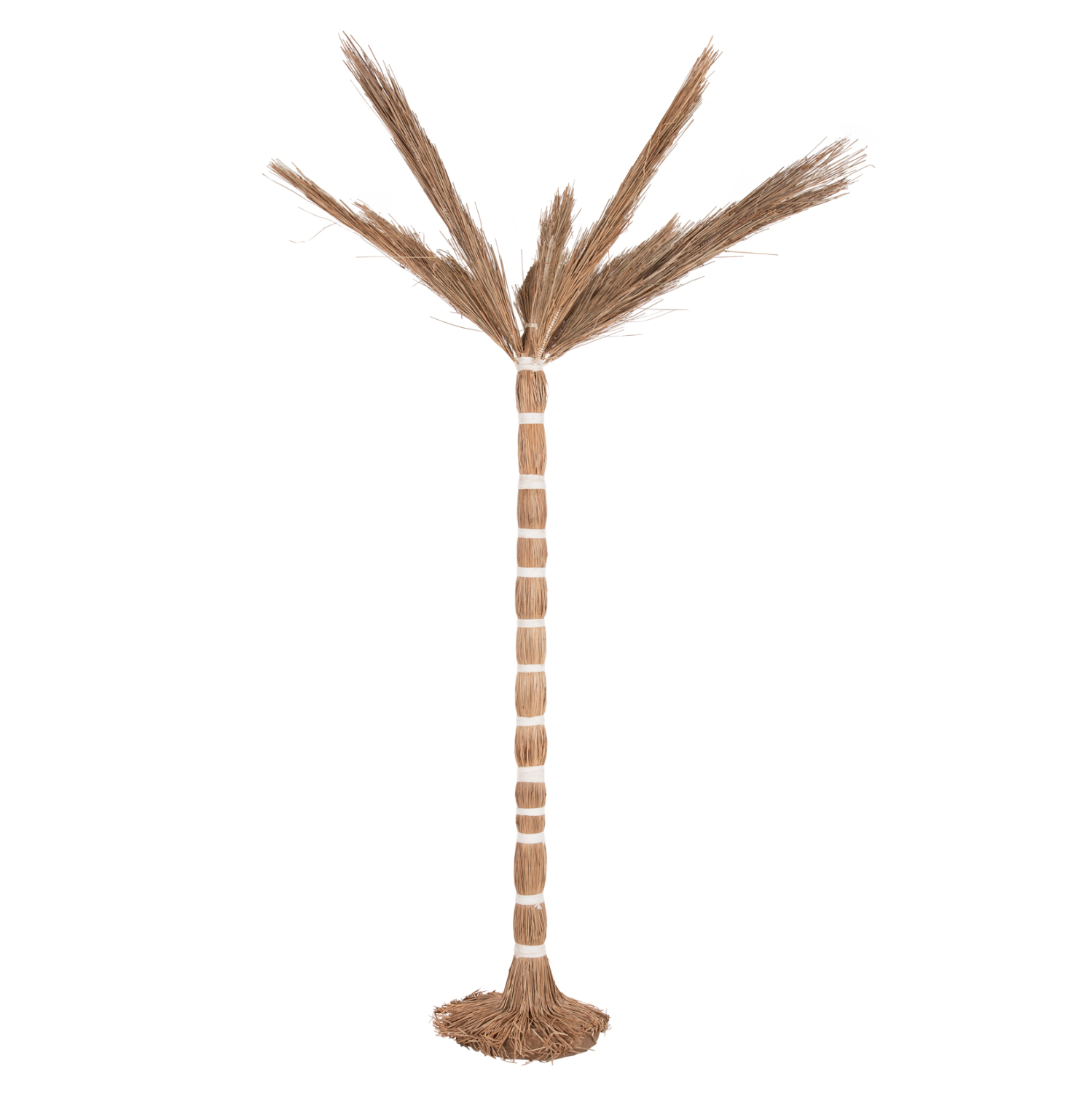 ΔΙΑΚΟΣΜΗΤΙΚΟ ΔΕΝΤΡΟ TROPIC HM4323 τ.ΦΟΙΝΙΚΑ ΑΠΟ MENDONG GRASS 310Yεκ. ΔΙΑΚΟΣΜΗΤΙΚΟ ΔΕΝΤΡΟ TROPIC HM4323 τ.ΦΟΙΝΙΚΑ ΑΠΟ MENDONG GRASS 310Yεκ.