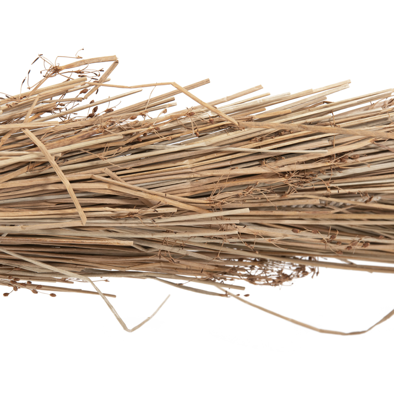 ΔΙΑΚΟΣΜΗΤΙΚΟ ΔΕΝΤΡΟ TROPIC HM4322 τ.ΦΟΙΝΙΚΑ ΑΠΟ MENDONG GRASS 360Yεκ. ΔΙΑΚΟΣΜΗΤΙΚΟ ΔΕΝΤΡΟ TROPIC HM4322 τ.ΦΟΙΝΙΚΑ ΑΠΟ MENDONG GRASS 360Yεκ.