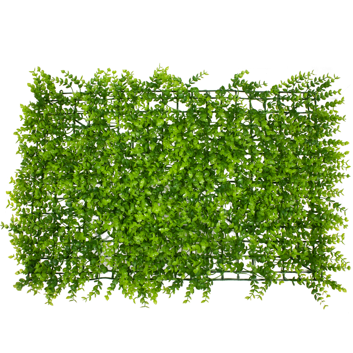 GloboStar® 78416 Artificial - Συνθετικό Τεχνητό Διακοσμητικό Πάνελ Φυλλωσιάς - Κάθετος Κήπος Καυκάσιο Πυξάρι Πράσινο Μ60 x Υ40 x Π4cm GloboStar® 78416 Artificial - Συνθετικό Τεχνητό Διακοσμητικό Πάνελ Φυλλωσιάς - Κάθετος Κήπος Καυκάσιο Πυξάρι Πράσινο Μ60 x Υ40 x Π4cm