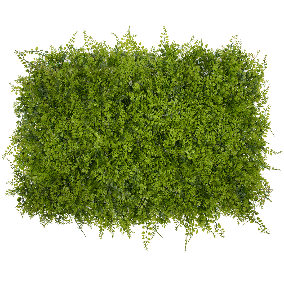 GloboStar® 78414 Artificial - Συνθετικό Τεχνητό Διακοσμητικό Πάνελ Φυλλωσιάς - Κάθετος Κήπος Λέιλαντ - Νάνος Κισσός Πράσινο - Λαδί Πράσινο Μ60 x Υ40 x Π9cm GloboStar® 78414 Artificial - Συνθετικό Τεχνητό Διακοσμητικό Πάνελ Φυλλωσιάς - Κάθετος Κήπος Λέιλαντ - Νάνος Κισσός Πράσινο - Λαδί Πράσινο Μ60 x Υ40 x Π9cm