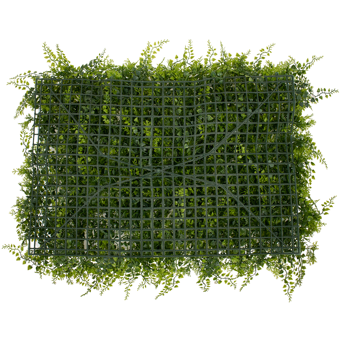 GloboStar® 78414 Artificial - Συνθετικό Τεχνητό Διακοσμητικό Πάνελ Φυλλωσιάς - Κάθετος Κήπος Λέιλαντ - Νάνος Κισσός Πράσινο - Λαδί Πράσινο Μ60 x Υ40 x Π9cm GloboStar® 78414 Artificial - Συνθετικό Τεχνητό Διακοσμητικό Πάνελ Φυλλωσιάς - Κάθετος Κήπος Λέιλαντ - Νάνος Κισσός Πράσινο - Λαδί Πράσινο Μ60 x Υ40 x Π9cm