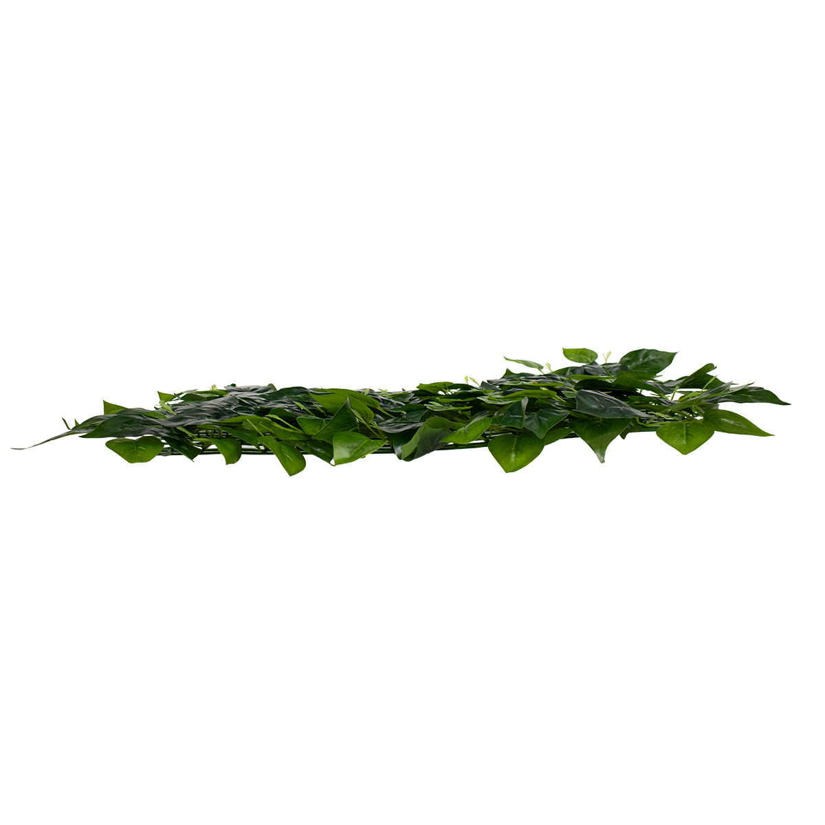 GloboStar® 78404 Artificial - Συνθετικό Τεχνητό Διακοσμητικό Πάνελ Φυλλωσιάς - Κάθετος Κήπος Φυλλόδεντρο Πράσινο Μ60 x Υ40 x Π4cm GloboStar® 78404 Artificial - Συνθετικό Τεχνητό Διακοσμητικό Πάνελ Φυλλωσιάς - Κάθετος Κήπος Φυλλόδεντρο Πράσινο Μ60 x Υ40 x Π4cm