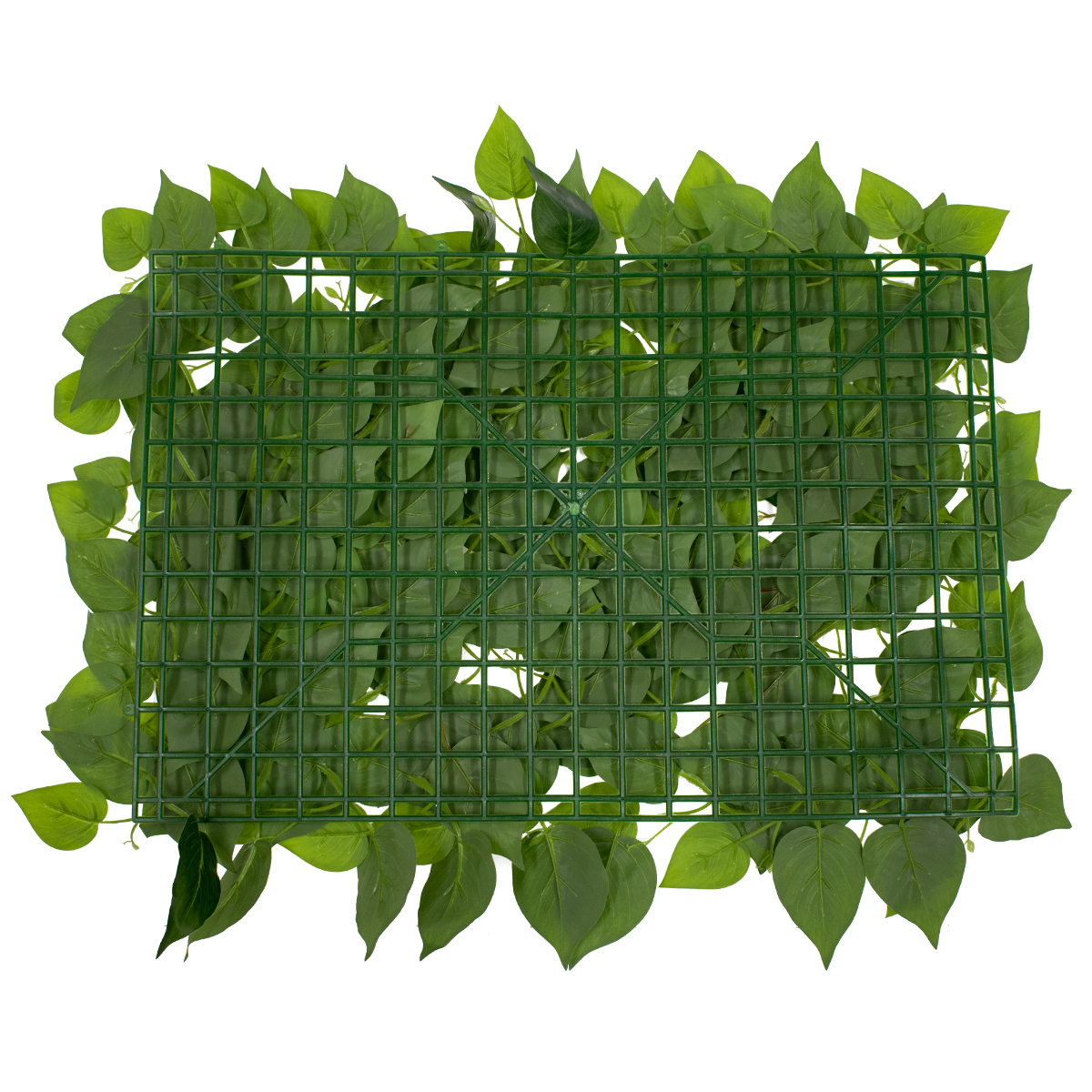 GloboStar® 78404 Artificial - Συνθετικό Τεχνητό Διακοσμητικό Πάνελ Φυλλωσιάς - Κάθετος Κήπος Φυλλόδεντρο Πράσινο Μ60 x Υ40 x Π4cm GloboStar® 78404 Artificial - Συνθετικό Τεχνητό Διακοσμητικό Πάνελ Φυλλωσιάς - Κάθετος Κήπος Φυλλόδεντρο Πράσινο Μ60 x Υ40 x Π4cm